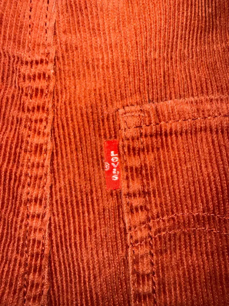 Jardinera para niño Levi's color terracota - 4
