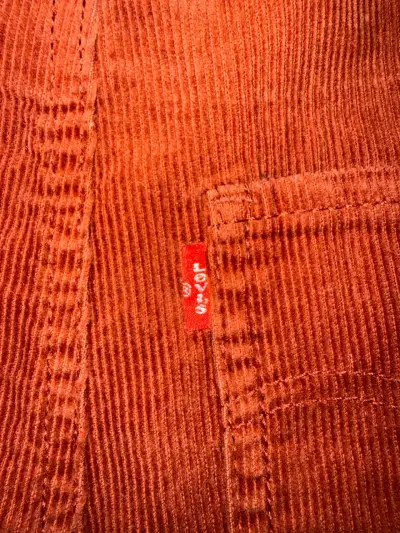 Jardinera para niño Levi's color terracota - miniatura 4