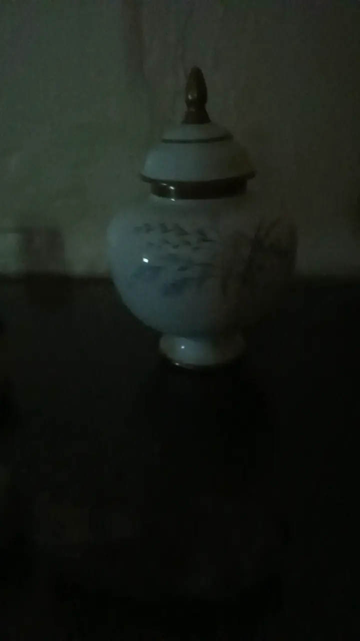 Jarrón de Porcelana con Flores y Detalles Dorados - 3