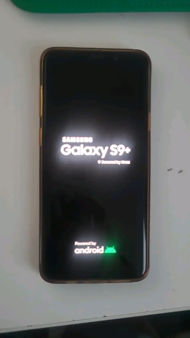 Samsung Galaxy S9+ en buen estado - 1