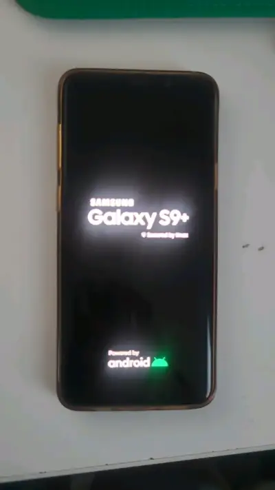 Samsung Galaxy S9+ en buen estado - miniatura 1