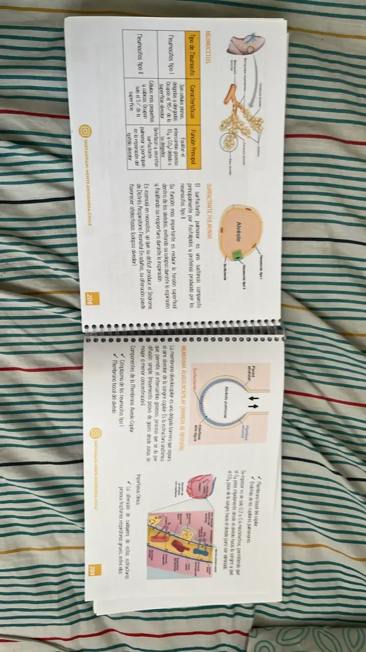 Libreta de Anatomía Mente Enfermera 1ª Edición - 3