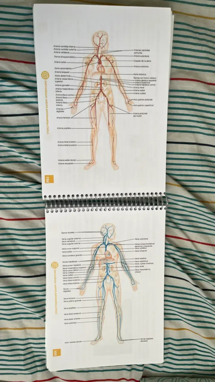 Libreta de Anatomía Mente Enfermera 1ª Edición - 4