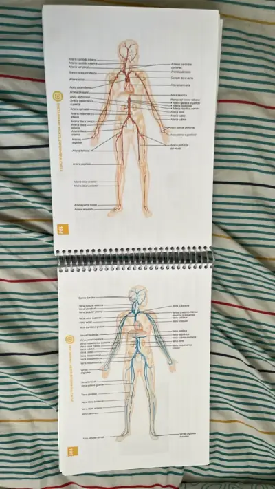 Libreta de Anatomía Mente Enfermera 1ª Edición - miniatura 4