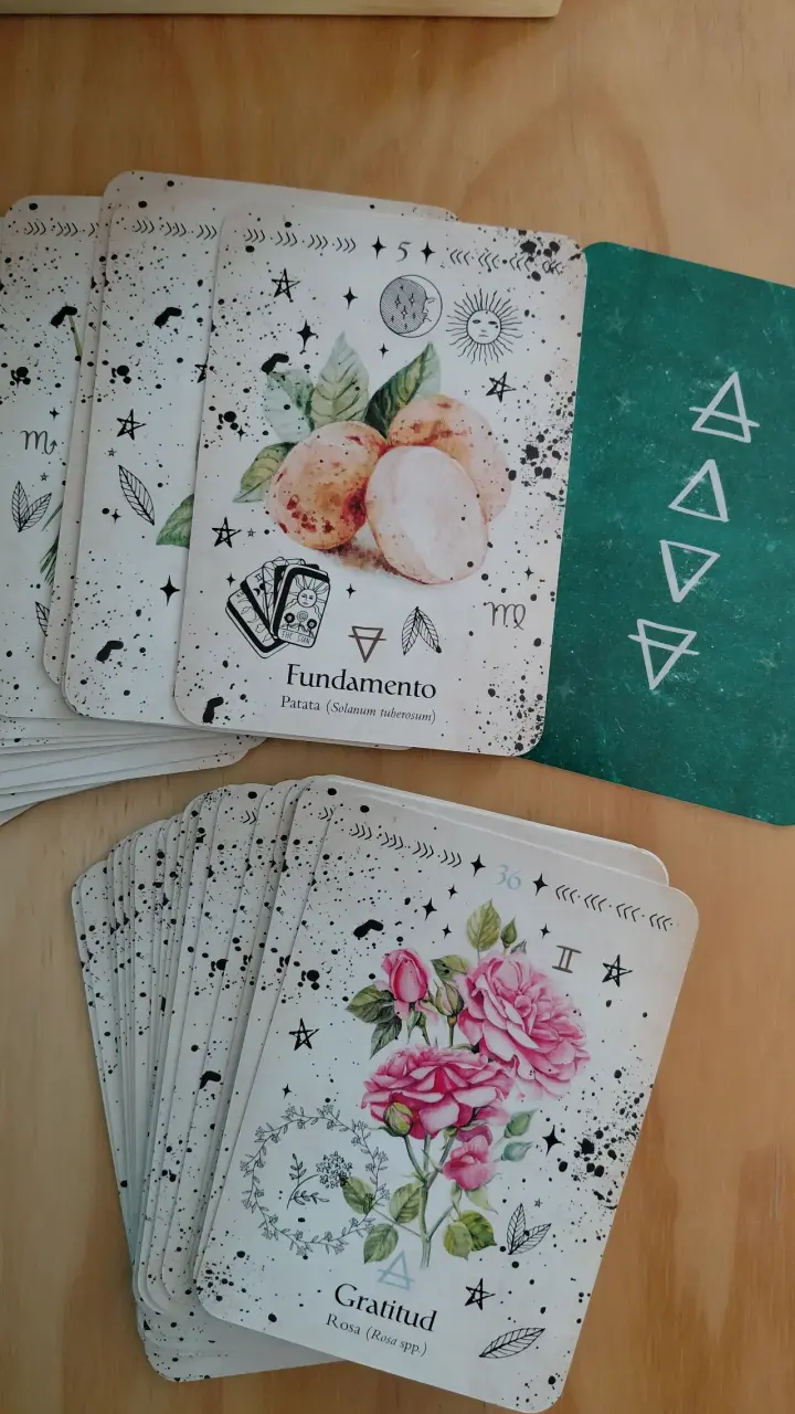 Oráculo de la Bruja Verde con libro y cartas - 3