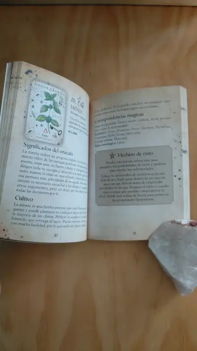 Oráculo de la Bruja Verde con libro y cartas - miniatura 4