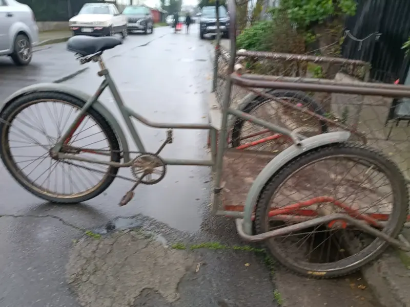 Bicicleta triciclo de carga vintage - 1