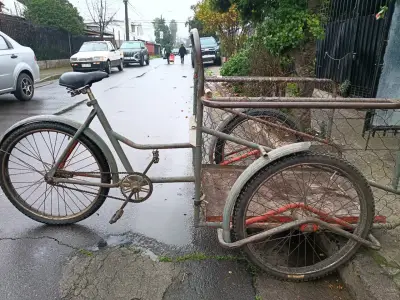 Bicicleta triciclo de carga vintage - miniatura 2