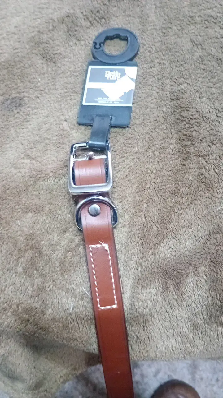 Correa de cuero marrón con hebilla metálica para 🐕 - 2