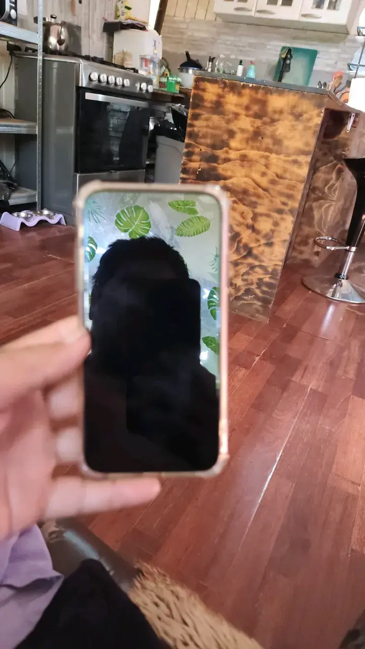Smartphone con carcasa protectora dorada