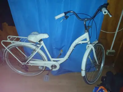 Bicicleta vintage blanca con canasto - miniatura 4