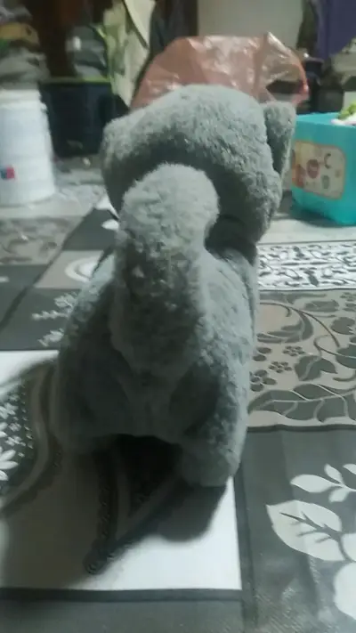 Peluche de perro gris suave - miniatura 4
