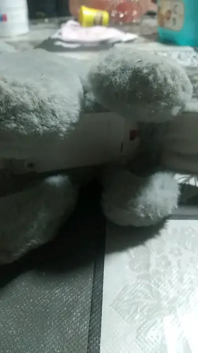 Peluche de perro gris suave - miniatura 5