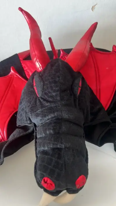 Disfraz de dragón negro y rojo para niños - miniatura 2