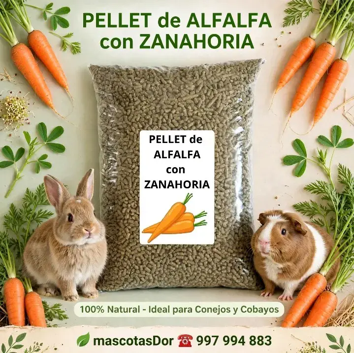 Pellet de alfalfa con zanahoria para roedores 3kg