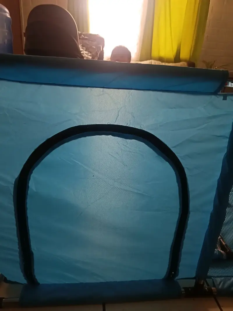 Corral de Juegos Infantil Azul con Pelotas - 2