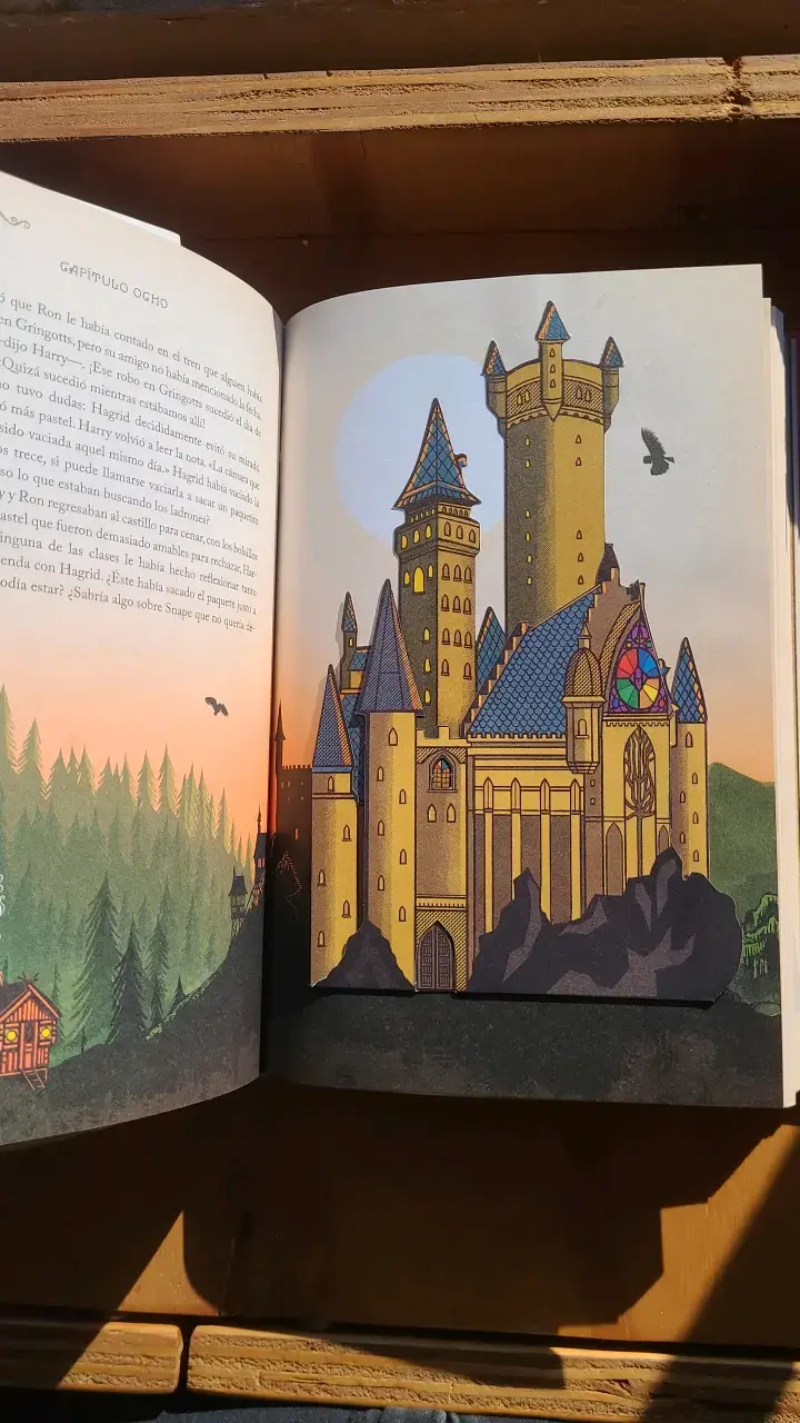 Libro Harry Potter y la Piedra Filosofal Ilustrado - 5