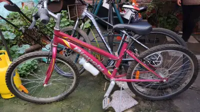Bicicleta Bianchi fucsia de montaña aro 24 - miniatura 6