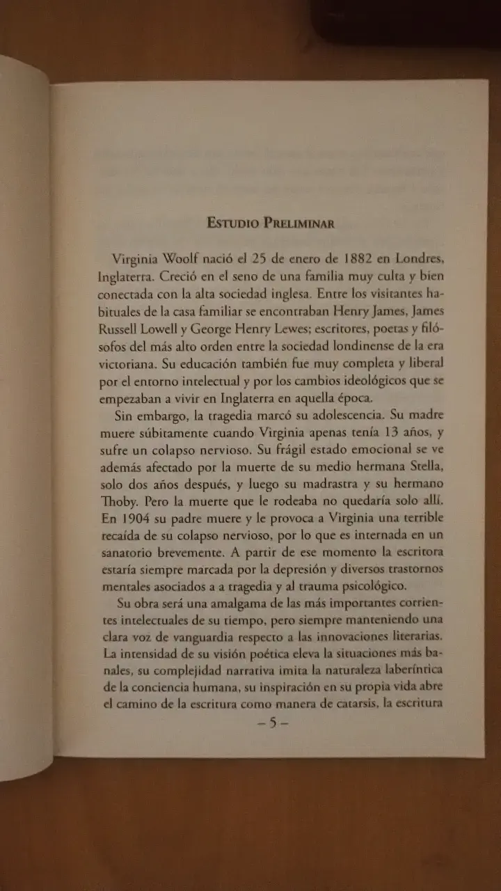 Libro La Señora Dalloway de Virginia Woolf - 3