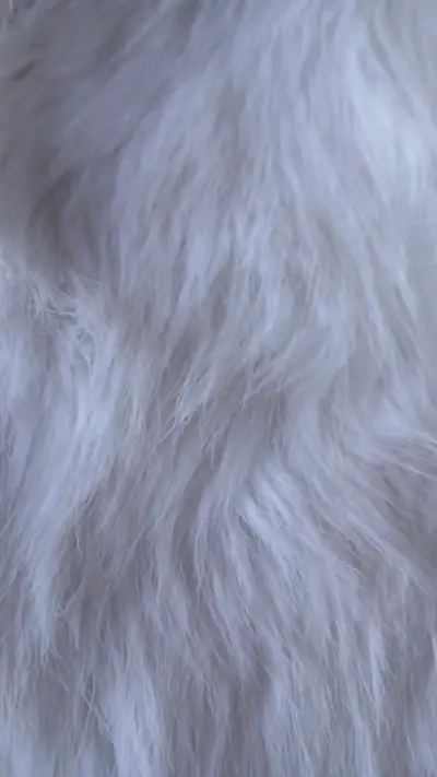 Chaqueta de piel sintética blanca para mujer - miniatura 4