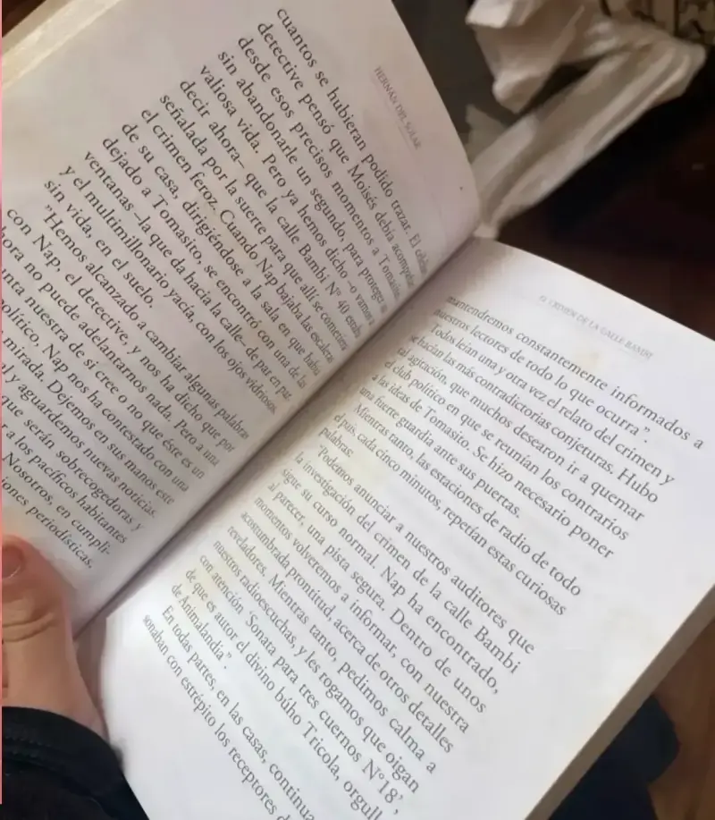 Libro 'El Crimen de la Calle Bambi' de Hernán del Solar - 4