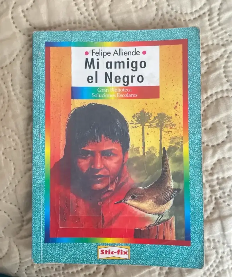 Libro 'Mi amigo el Negro' de Felipe Alliende - 1