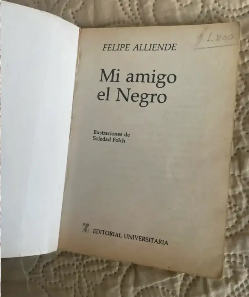 Libro 'Mi amigo el Negro' de Felipe Alliende - 2