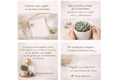 Suculenta en maceta decorativa con base de madera - miniatura 2