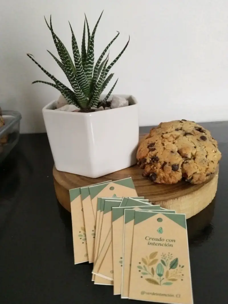 Suculenta en maceta decorativa con base de madera - 5