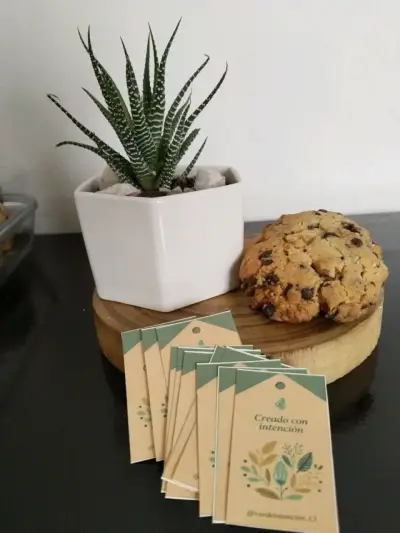 Suculenta en maceta decorativa con base de madera - miniatura 5