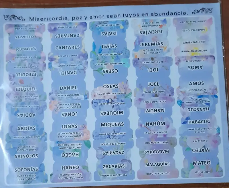 Pestañas para biblia - 5
