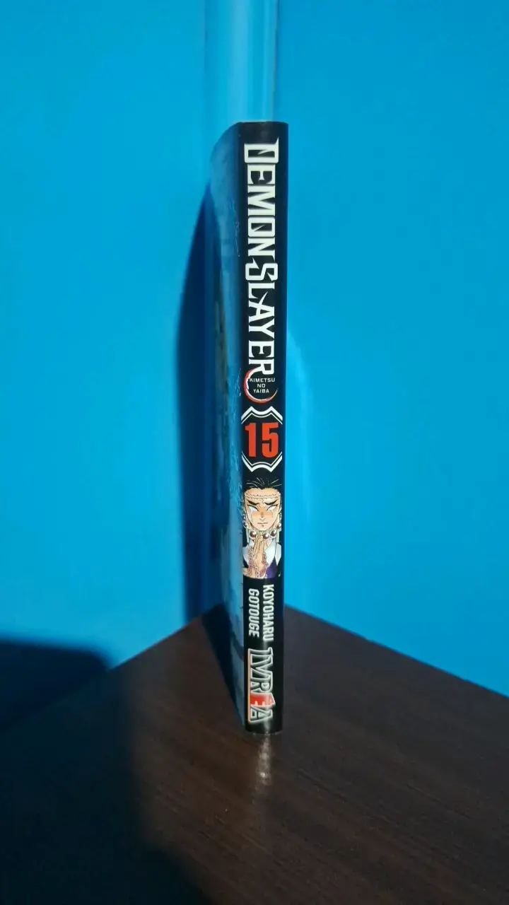 Manga Demon Slayer Volumen 15 Ivrea - 2