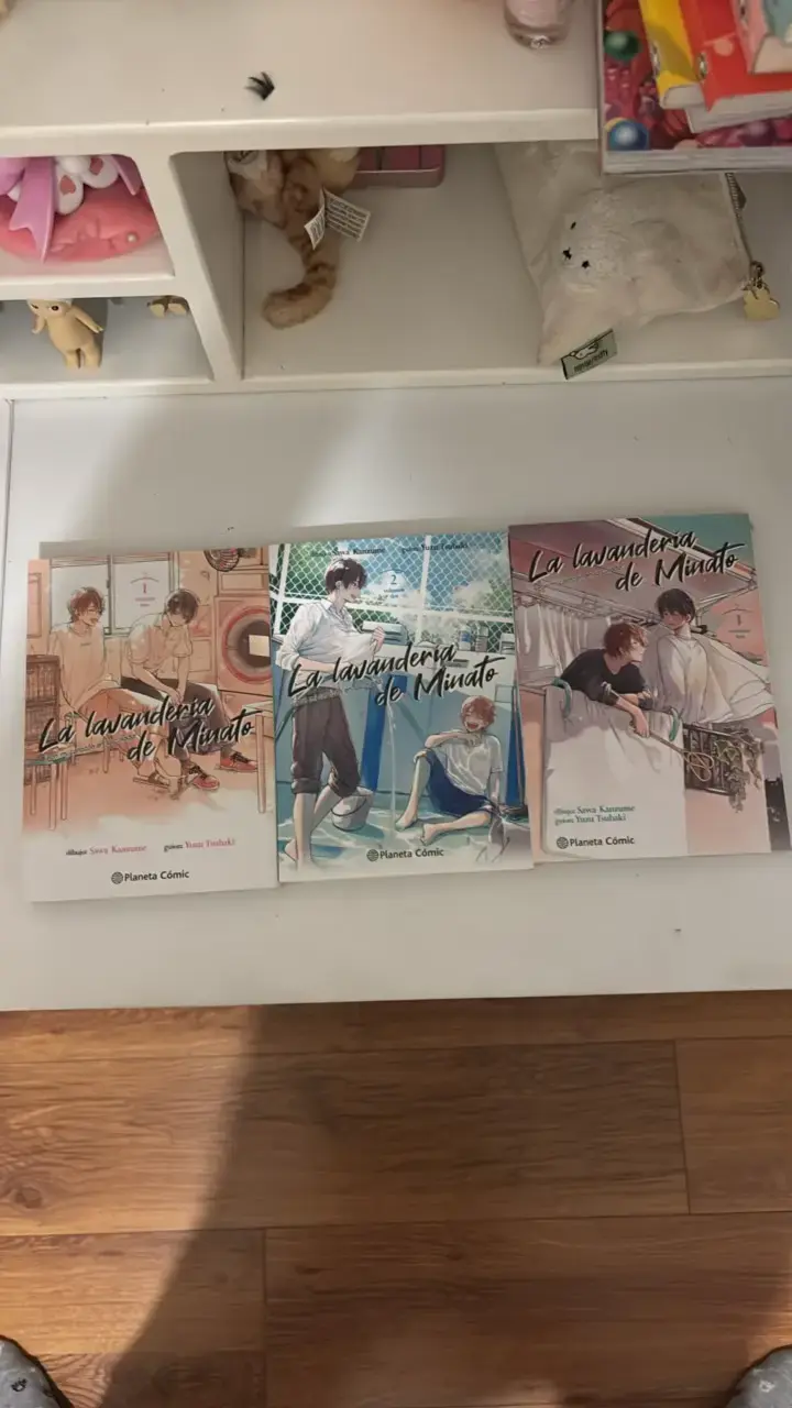 Colección de mangas 'La lavandería de Minato'