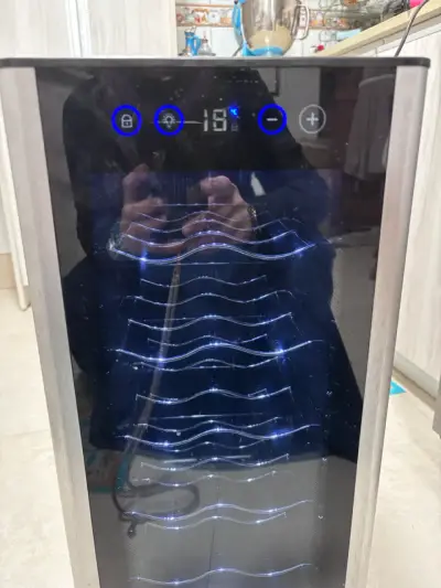Recaba de Vinos con Control Digital - miniatura 2