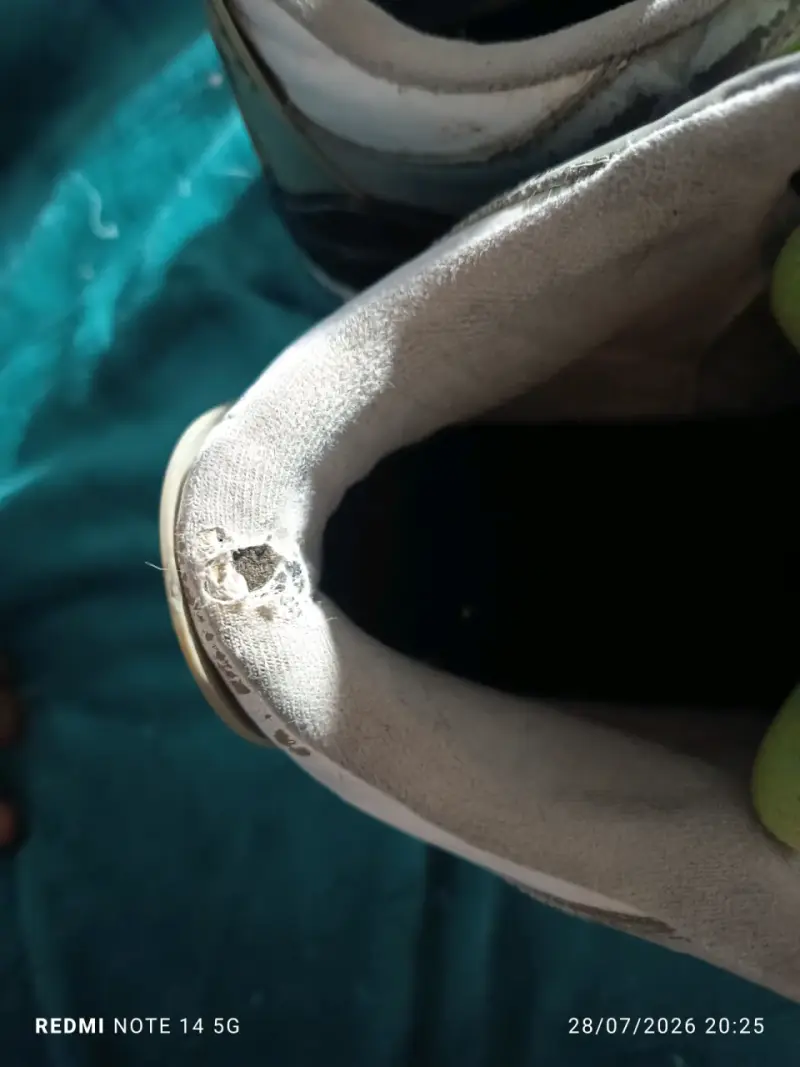 Zapatillas deportivas Air Jordan gris y verde - 6