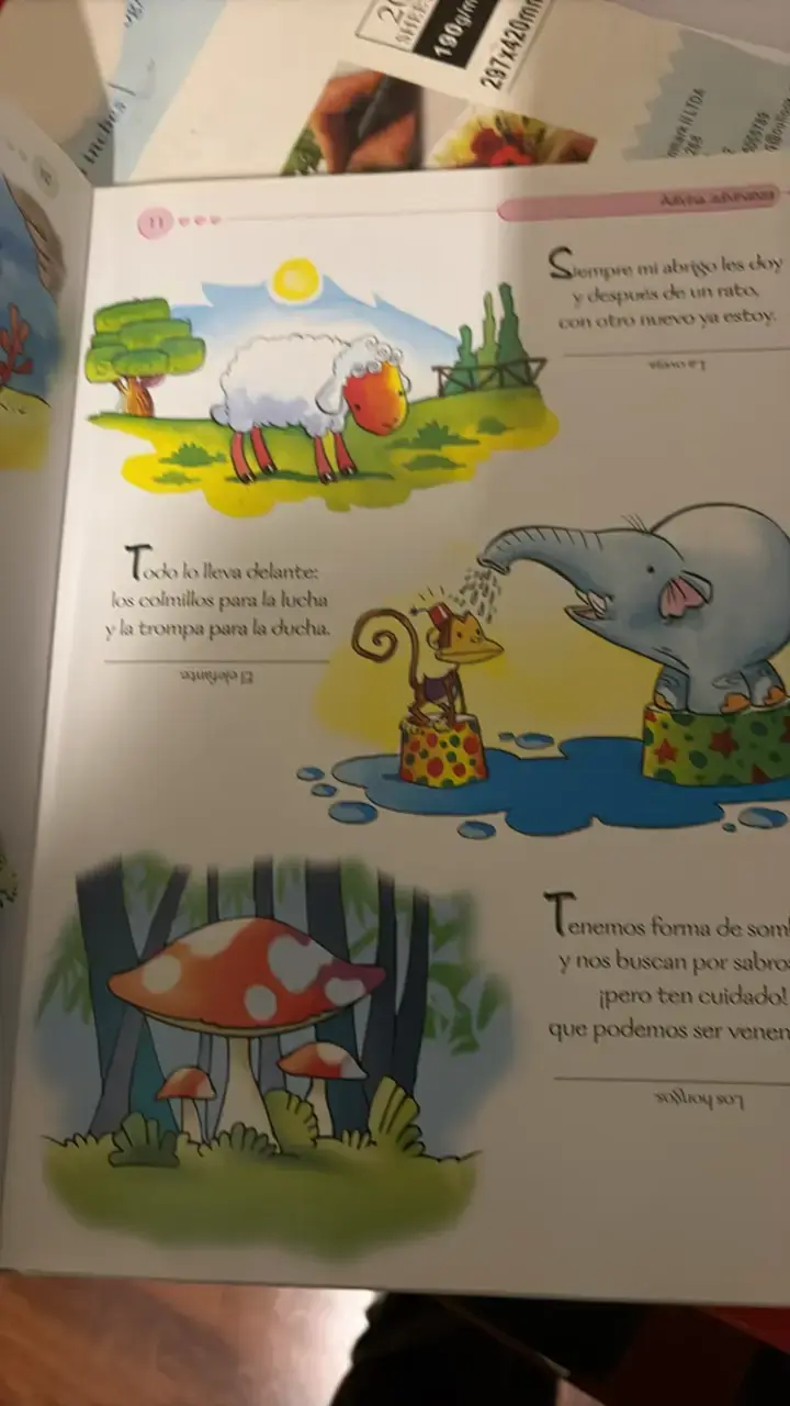 Mi Primer Libro de Adivinanzas - 2