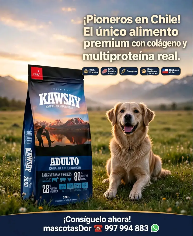 Alimento premium para perros Kawsay Adulto 10kg - 1