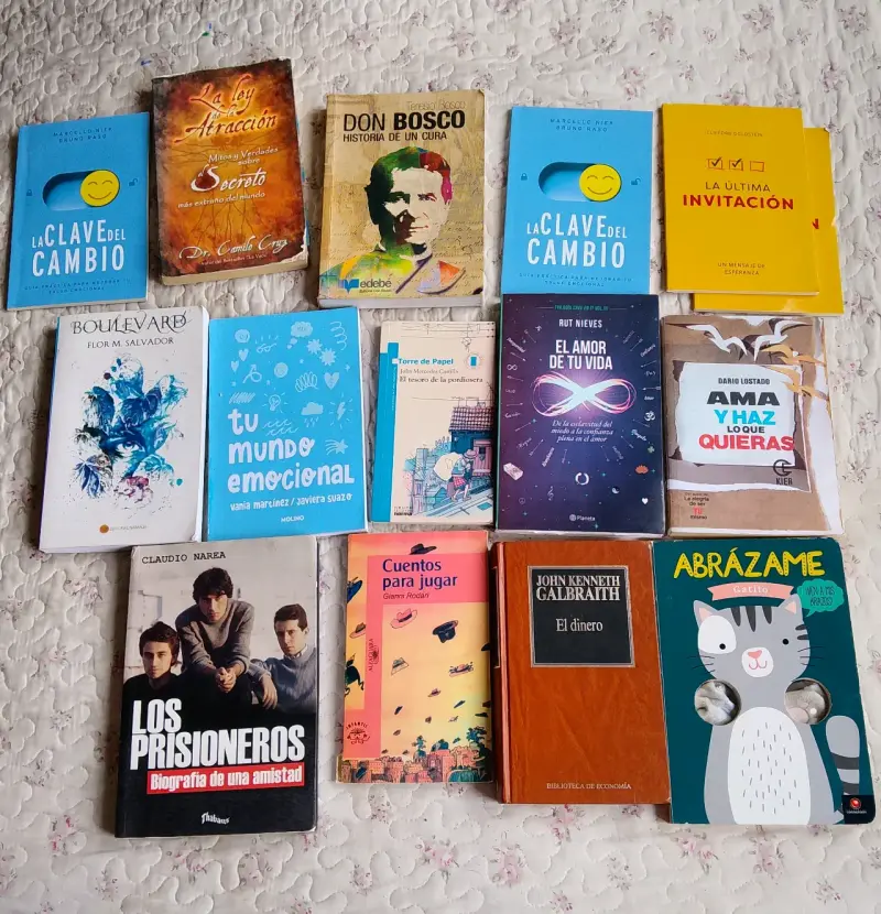 Lote de 14 libros variados en buen estado
