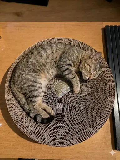 Rascador para gatos de cartón ondulado