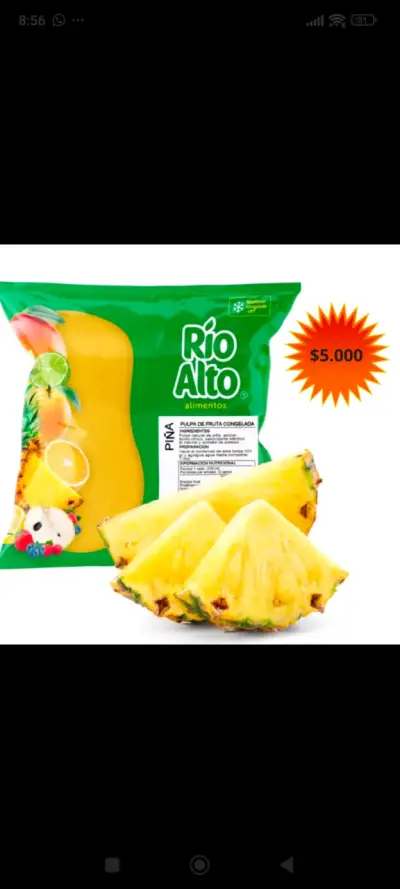 Pulpa de Fruta Congelada Faby Variados Sabores - miniatura 4