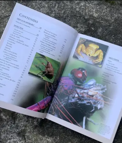 Enciclopedia Completa de los Insectos. - miniatura 2