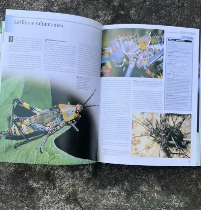 Enciclopedia Completa de los Insectos. - miniatura 3