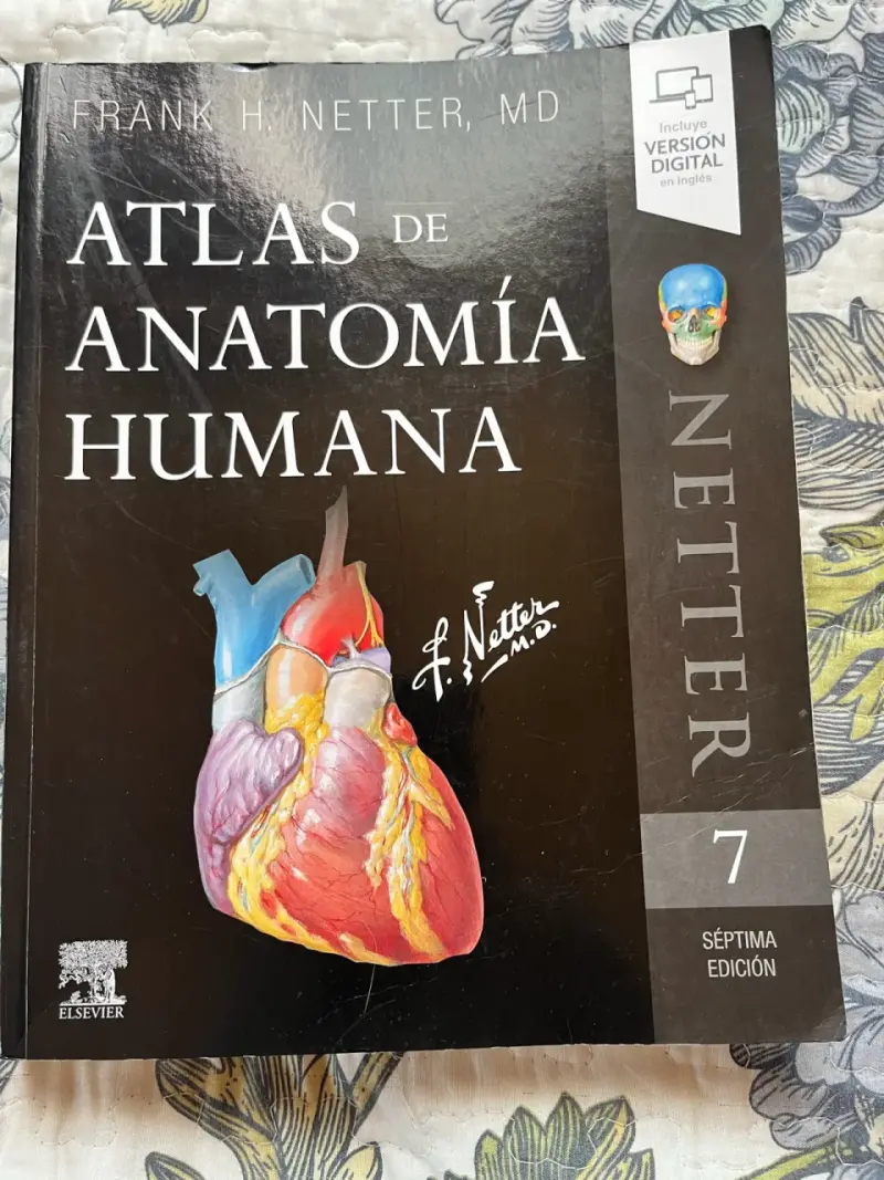 Atlas de Anatomía Humana de Frank H. Netter 7ª Edición - 1