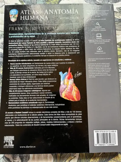 Atlas de Anatomía Humana de Frank H. Netter 7ª Edición - miniatura 2