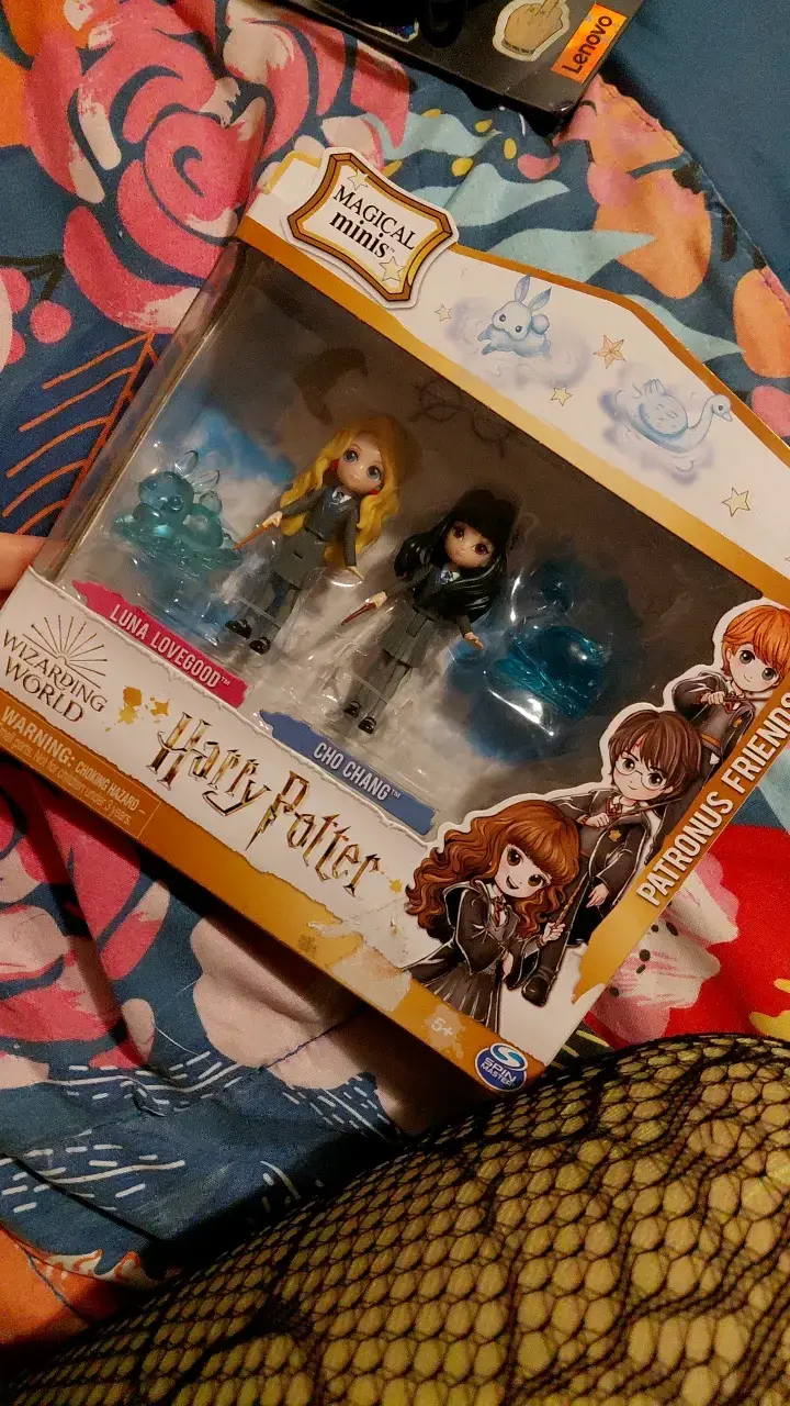 Set de Figuras Harry Potter Magical Minis