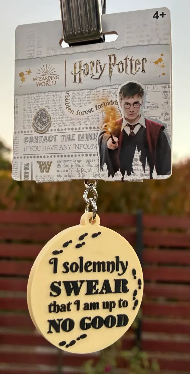 Llavero Harry Potter con frase icónica - 2