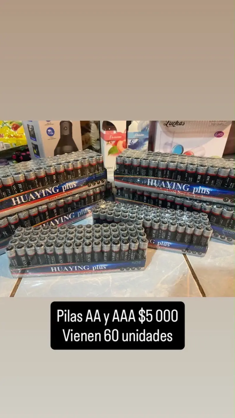 Paquete de Pilas AA y AAA