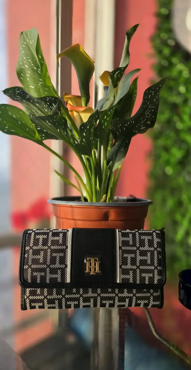 Billetera Tommy Hilfiger trifold monograma - 1