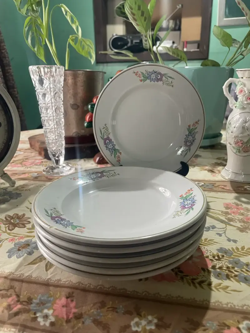 Juego de platos lozapenco con diseño floral - 2