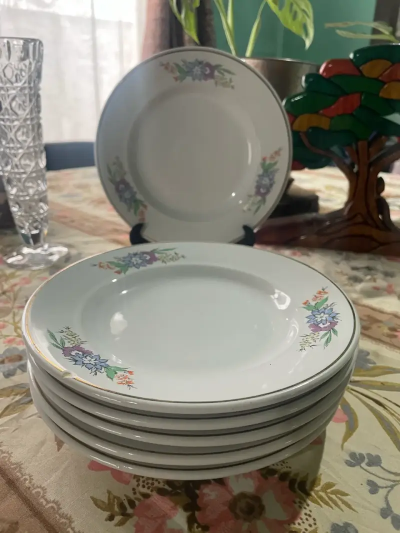 Juego de platos lozapenco con diseño floral - 5